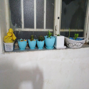 home-1